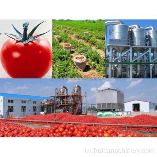 יעילות גבוהה ריבה עגבניות/קו עיבוד ריבות פירות